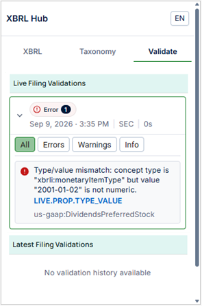 The Validate panel showing validation errors in the report