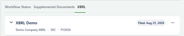 The XBRL project created for the report